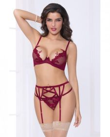 Netting Bra Lace Applique, Garter Belt &amp; Thong Wine Md